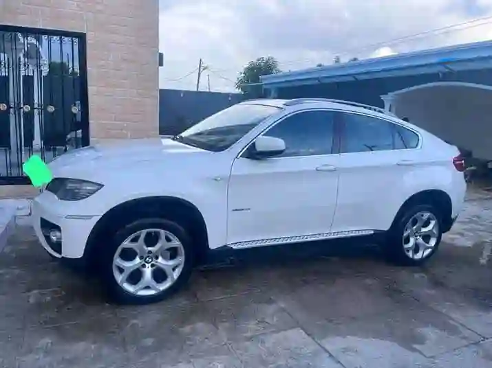 BMW X60