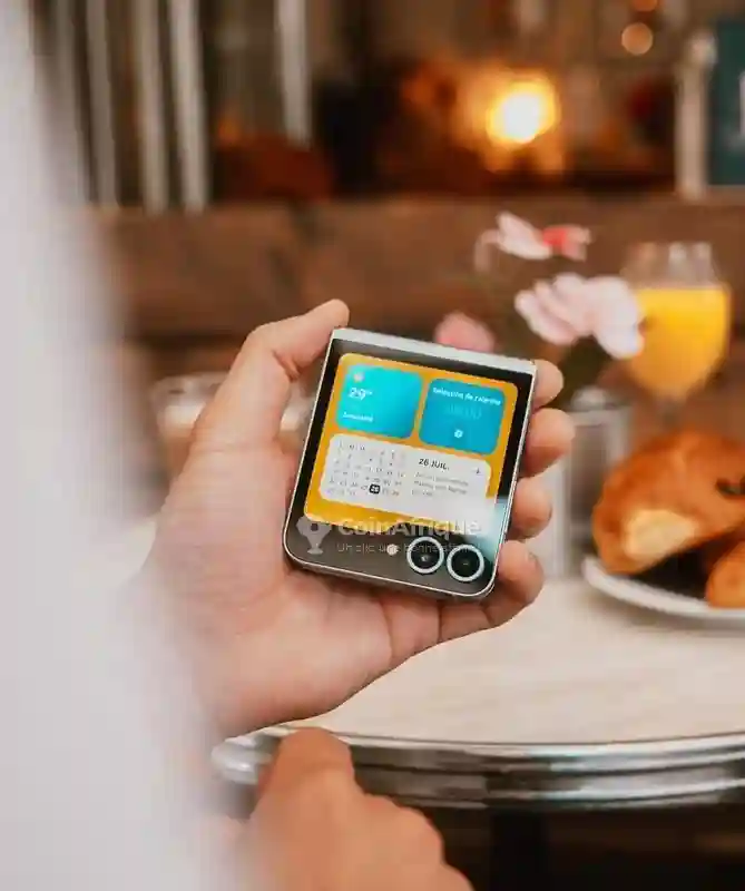 Samsung Galaxy Z Flip 3 - Vue 1