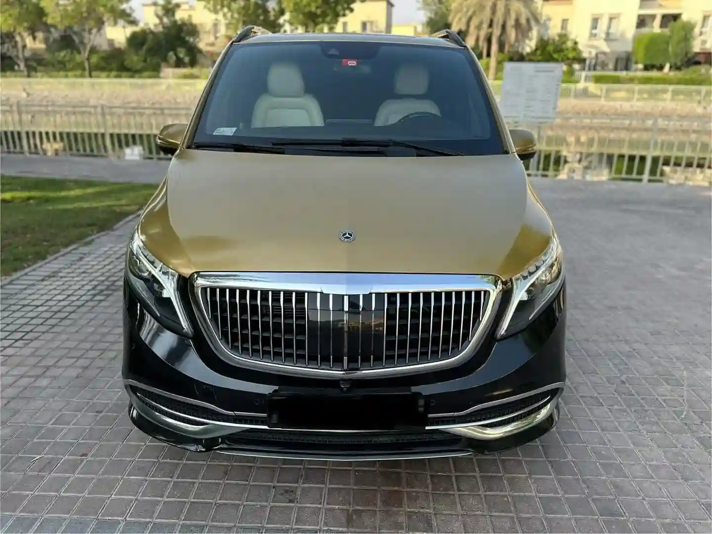 Mercedes Viano - Vue 1