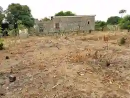 Parcelle A Nanga - Vue 1