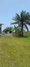 Domaine Prive A Vendre - Vue 2