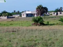 Parcelle A LA Plage DE Djeno