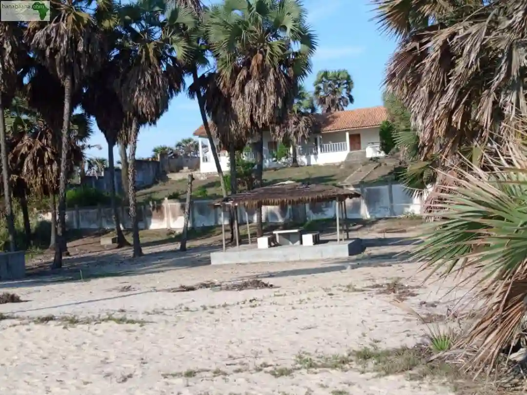 Parcelle A LA Plage DE Djeno - Vue 1