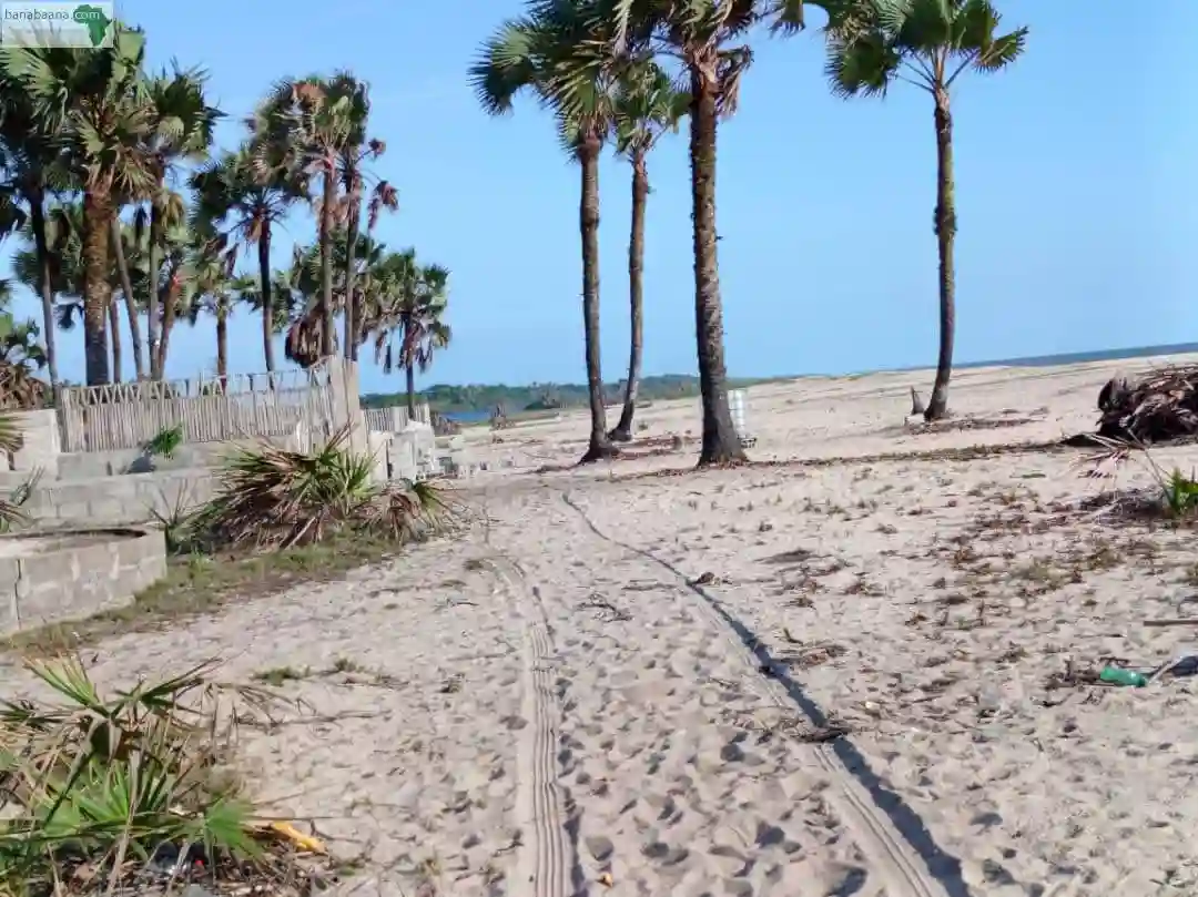Parcelle A LA Plage DE Djeno - Vue 2