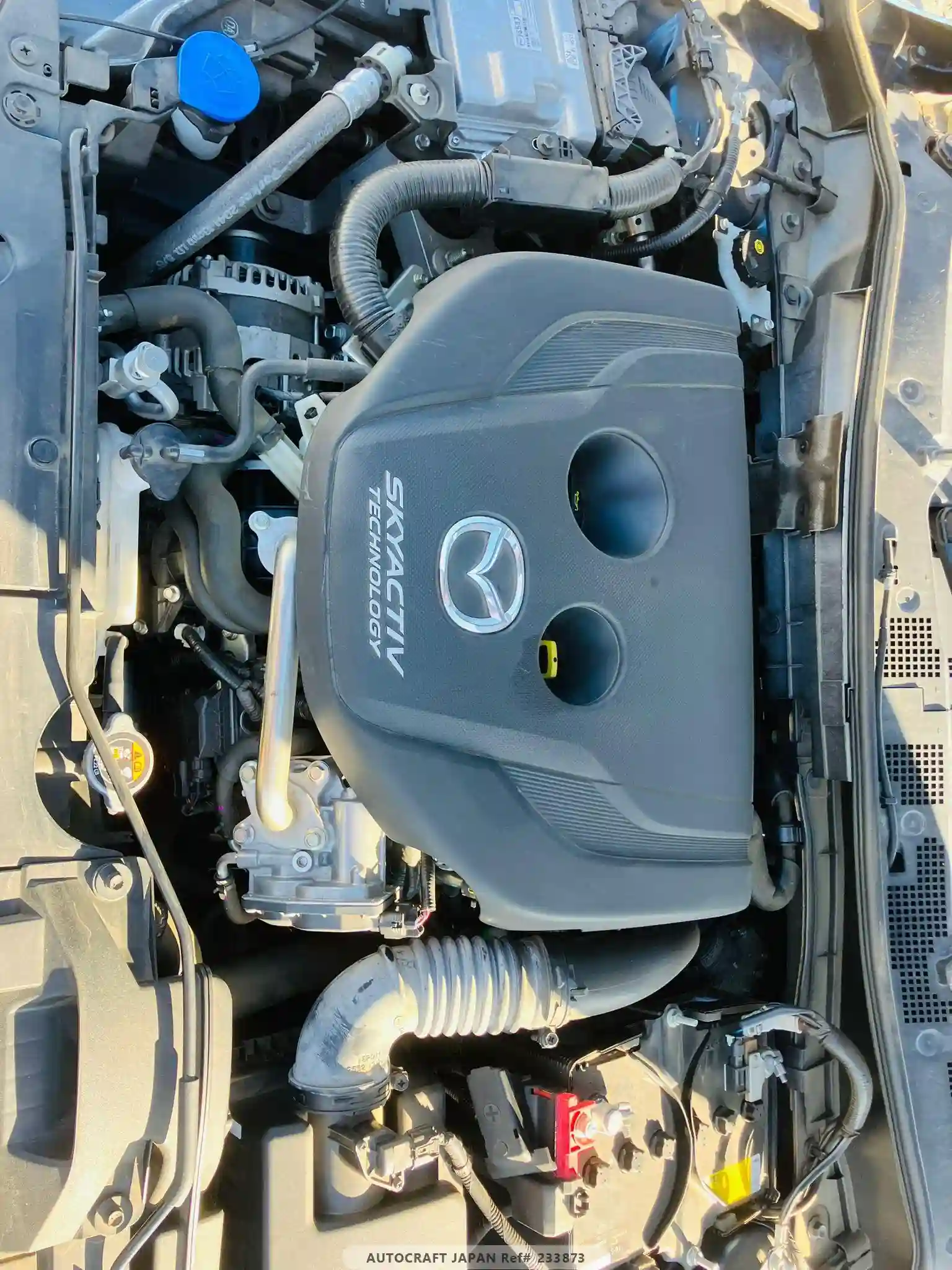 Mazda Demio - Vue 12