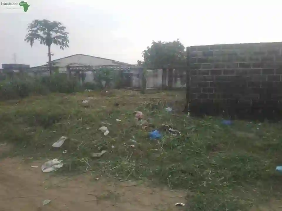 Parcelle A Ngoyo