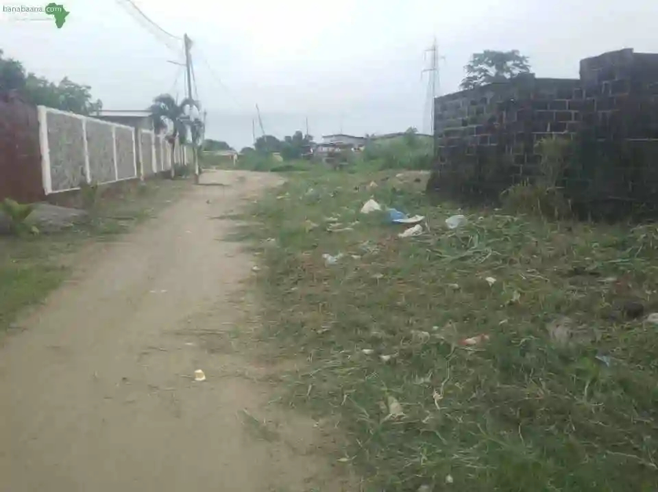 Parcelle A Ngoyo - Vue 2