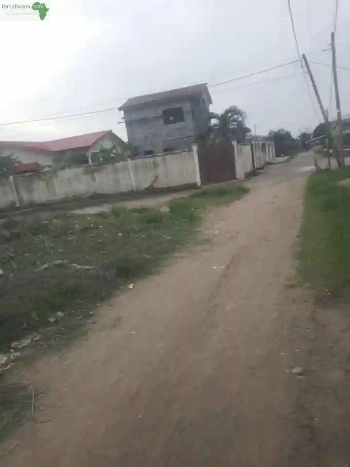 Parcelle A Ngoyo - Vue 4