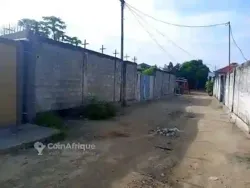 Terrain - Brazzaville
