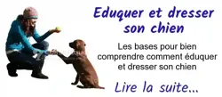 Formation Dressage de Chiens