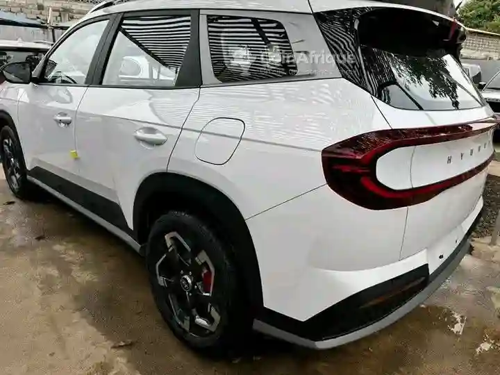Hyundai Mufasa - Vue 2