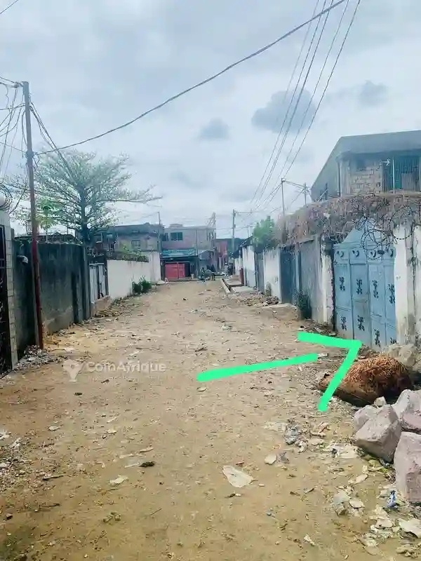 Vente Villa - Lemba Salongo - Vue 2