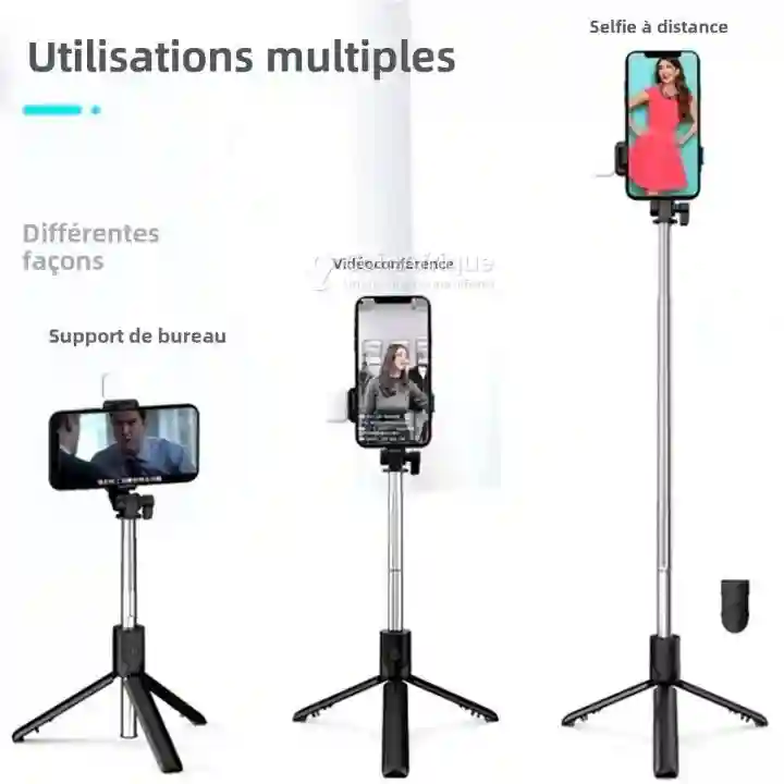 Pose Téléphone - Vue 1