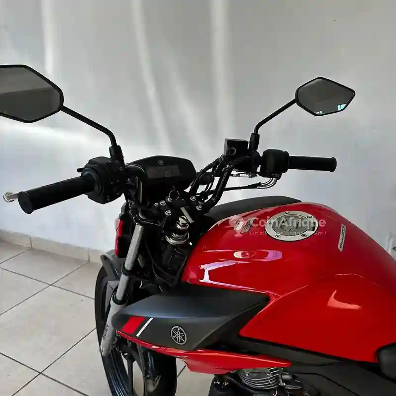 Yamaha YZF 150 - Vue 1