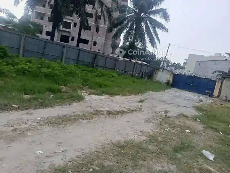 Terrain 1500 m² - Ndolo - Vue 1