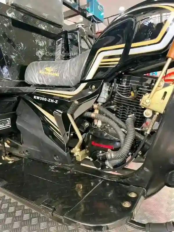 Kawasaki zzr 2011