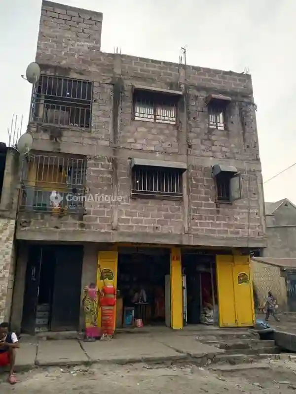 Vente Villa - Barumbu - Vue 2