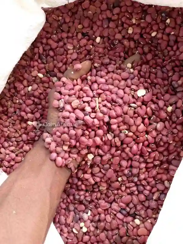 Petite Haricots Rouge