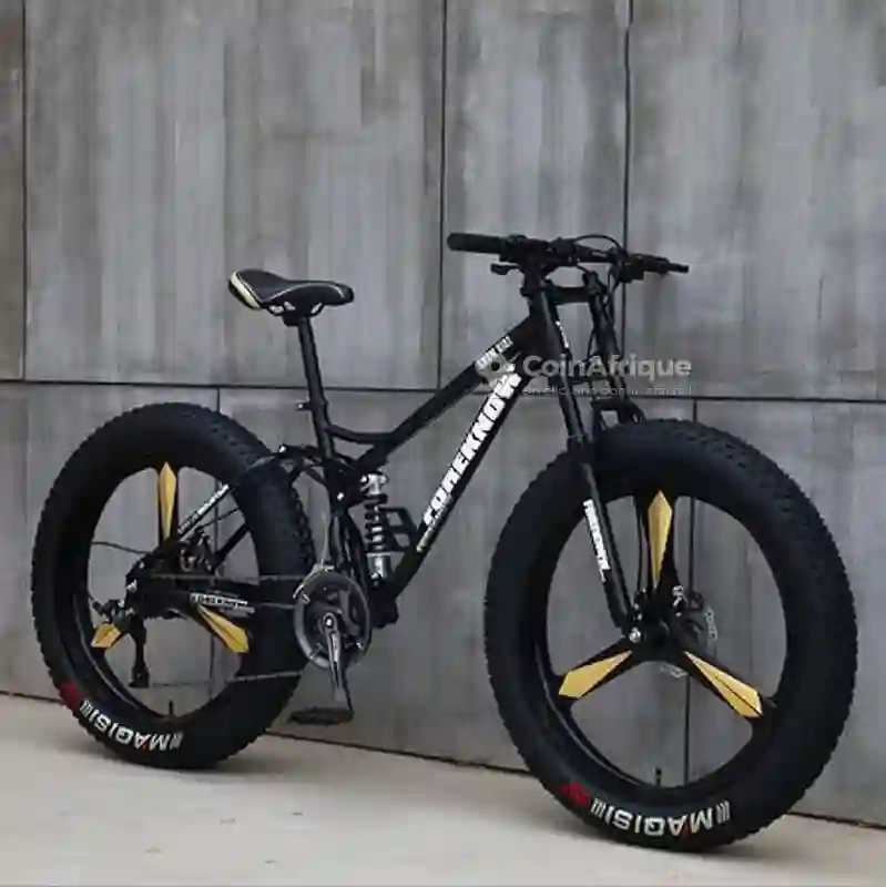 Vélo