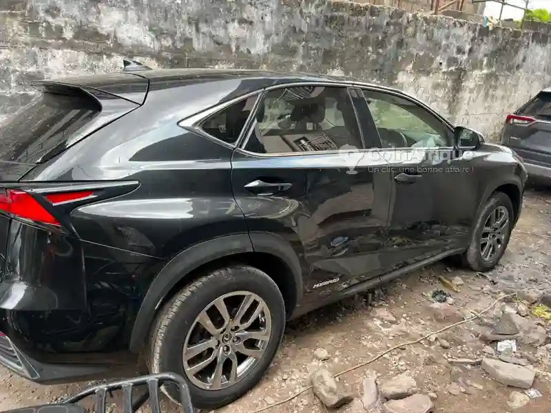 Lexus NX 300h Hybride 2021 - Vue 2