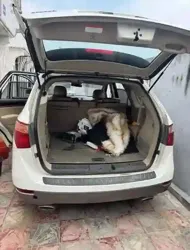 Hyundai Veracruz