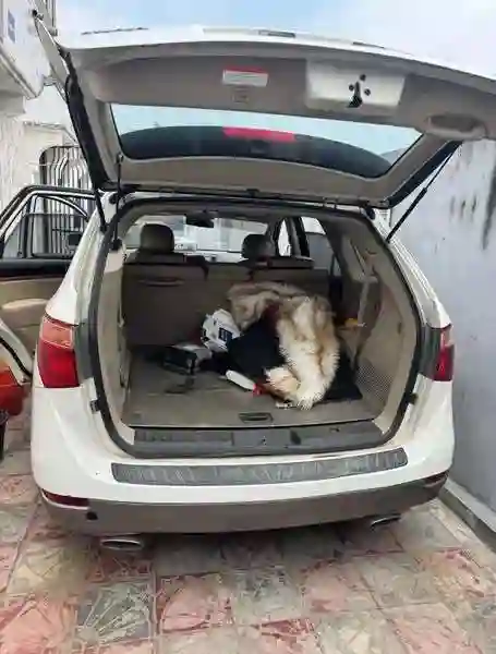Hyundai Veracruz