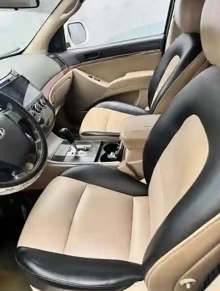 Hyundai Veracruz - Vue 2