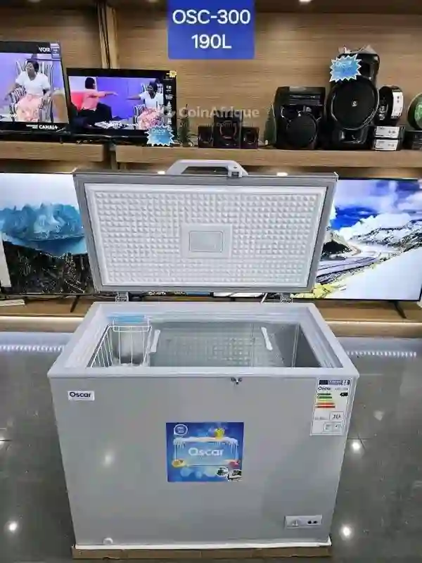 Congélateur 250l